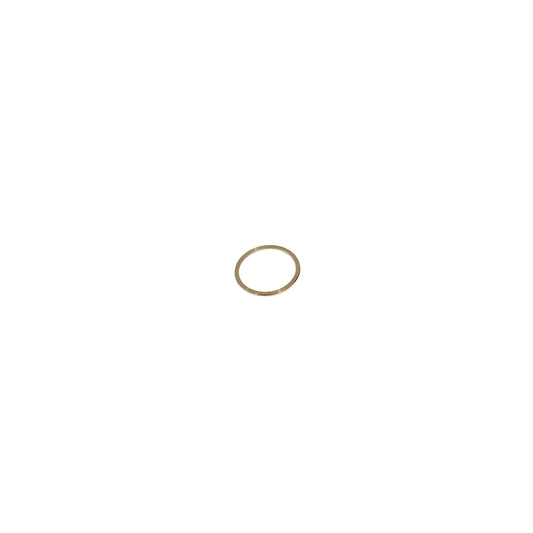 P150M Motor Gasket